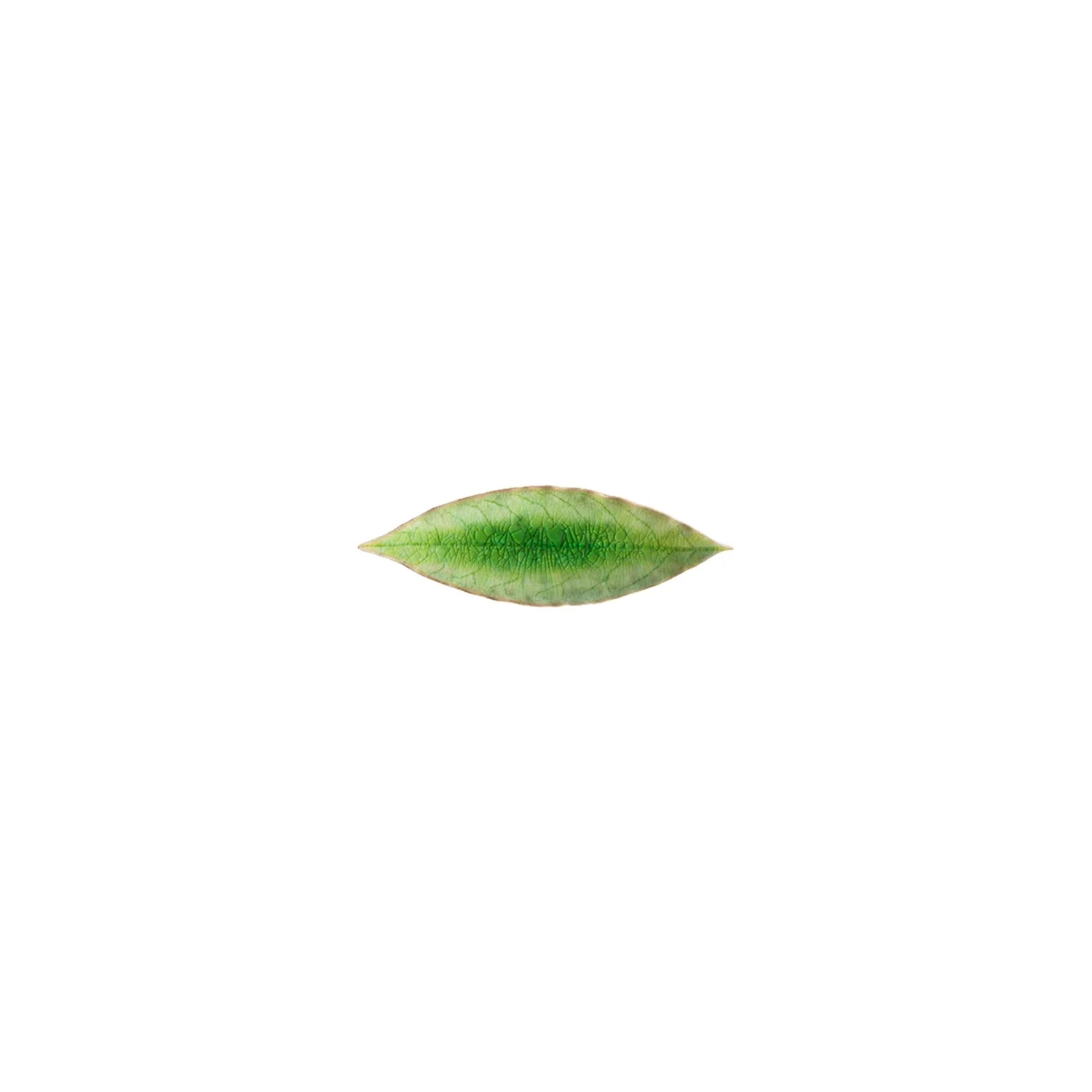 Laurel Leaf Riviera